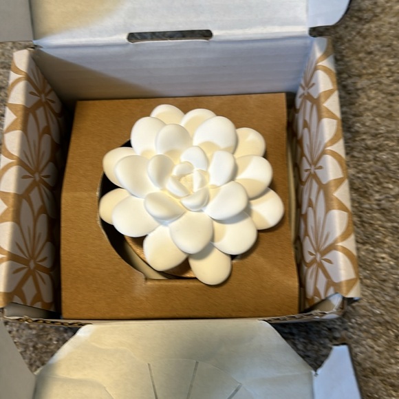 NWT Desert Bloom passive diffuser - Picture 2 of 3